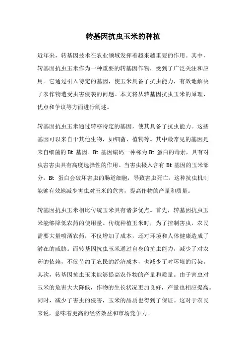 转基因抗虫玉米的种植