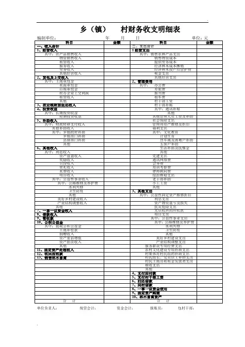 村财务收支明细表