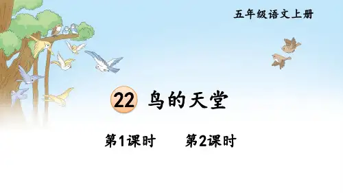 五年级语文上册课件《鸟的天堂》