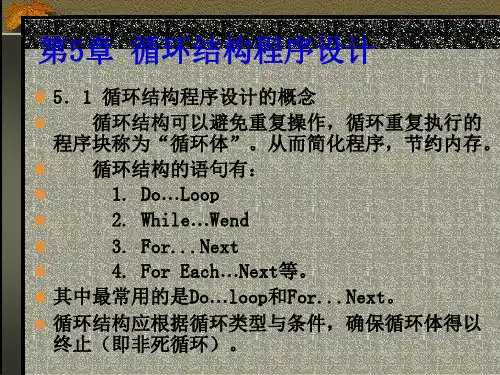 vb第5章 循环结构程序设计