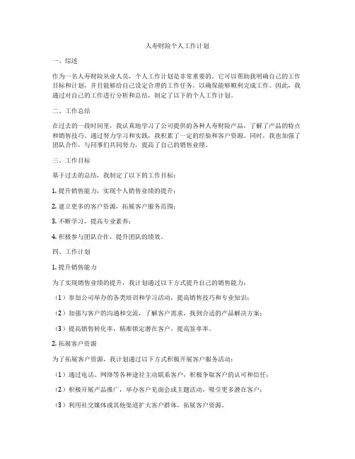 人寿财险个人工作计划