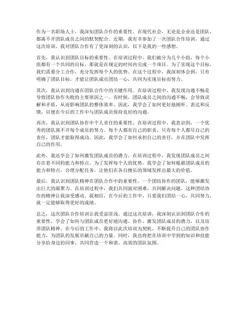 团队合作培训后的感想