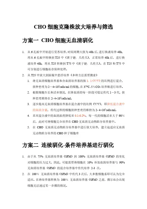 CHO细胞克隆株放大培养与筛选1