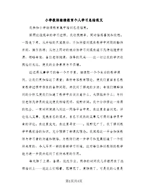 小学教师继续教育个人学习总结范文（2篇）