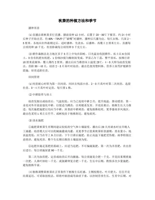 秋葵的种植方法和季节