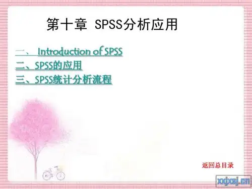 社会调查理论与方法  第十章 SPSS分析应用