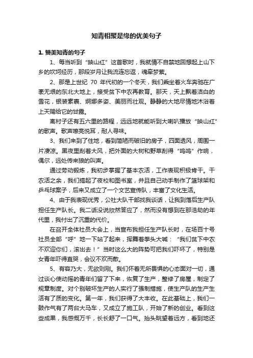 知青相聚是缘的优美句子
