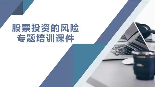 股票投资的风险专题培训课件