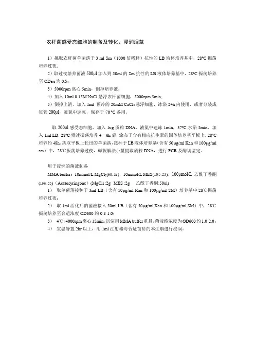 农杆菌感受态细胞的制备及转化