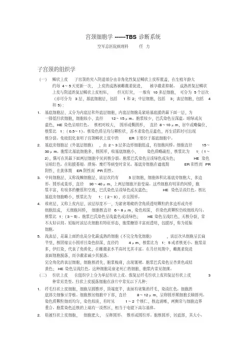 TBS诊断标准