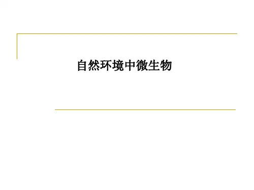 自然环境中微生物