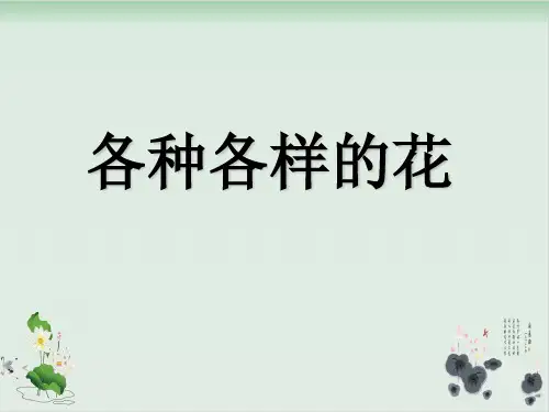 四年级下册科学课件各种各样的花教科版(共22张PPT)