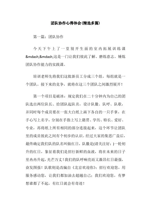 团队协作心得体会(精选多篇)