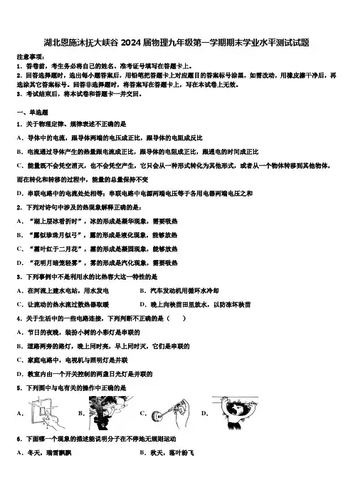 湖北恩施沐抚大峡谷2024届物理九年级第一学期期末学业水平测试试题含解析