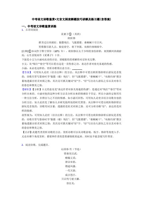 中考语文诗歌鉴赏+文言文阅读解题技巧讲解及练习题(含答案)