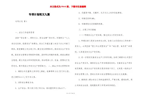 专项计划范文九篇