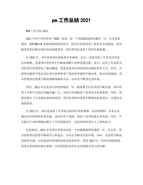 pm工作总结2021