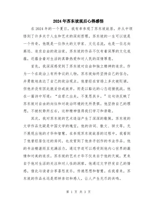 2024年苏东坡观后心得感悟