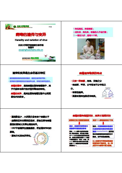 病毒的遗传与变异