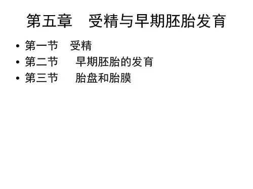 第五章  受精与早期胚胎发育