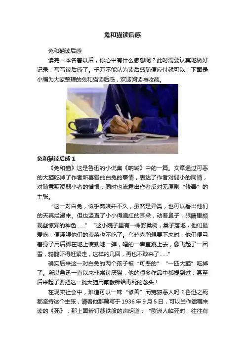 兔和猫读后感