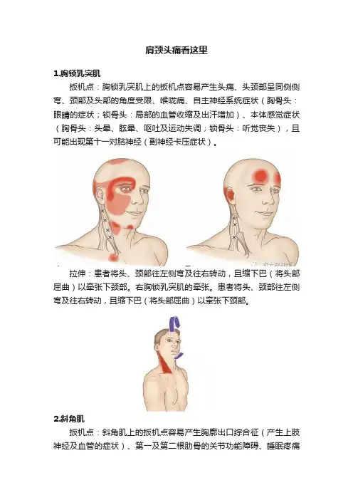 肩颈头痛看这里