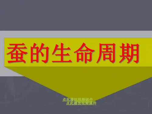 5蚕的生命周期精品PPT课件