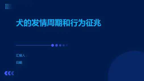 犬的发情周期和行为征兆