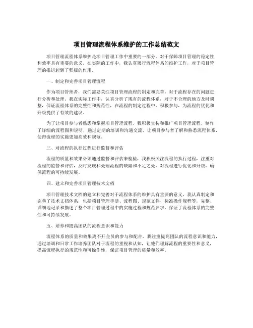 项目管理流程体系维护的工作总结范文