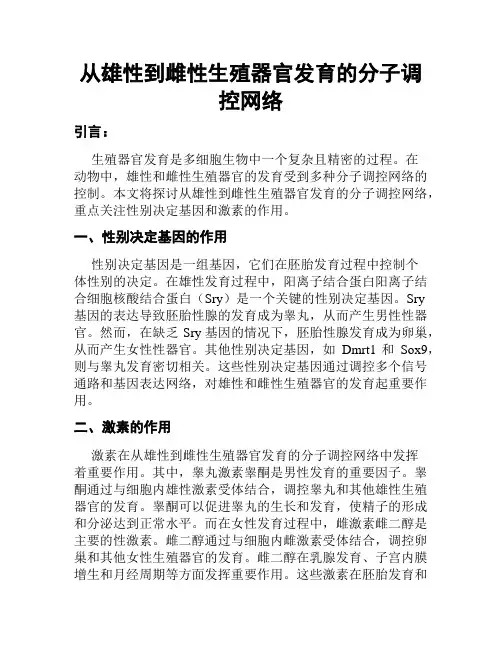 从雄性到雌性生殖器官发育的分子调控网络