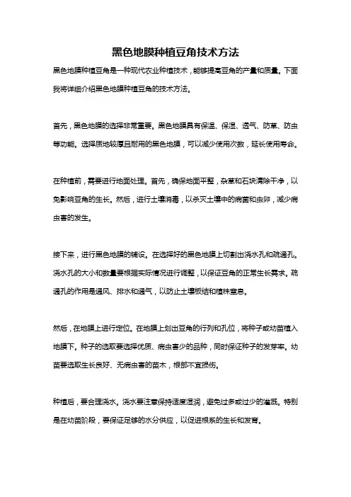黑色地膜种植豆角技术方法