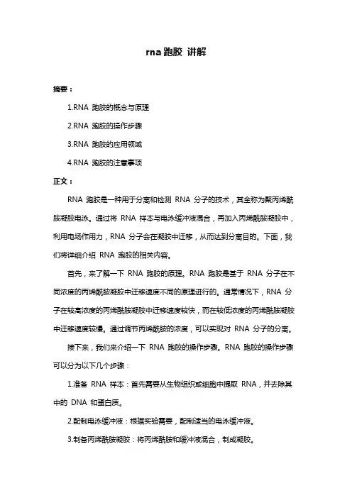 rna跑胶 讲解