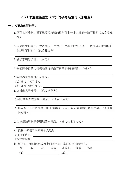 五年级语文下册试题  句子专项复习 (含答案)部编版