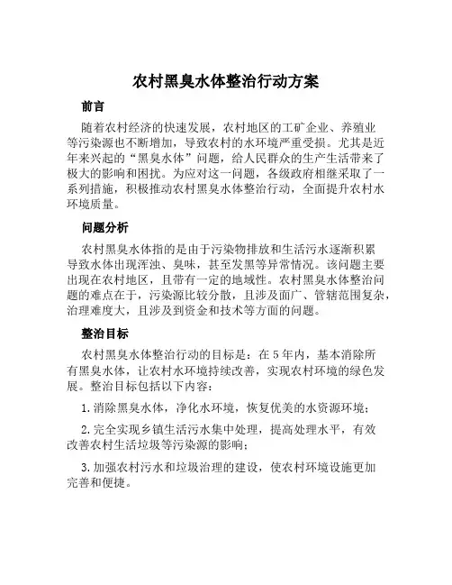 农村黑臭水体整治行动方案范文