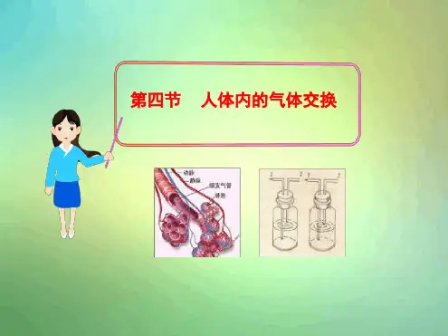 苏教版七年级下册第四节人体内的气体交换