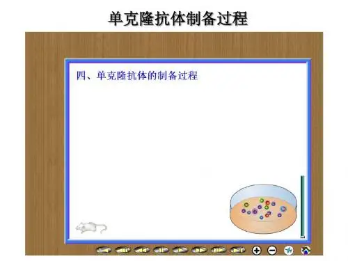 2.2.2动物细胞融合与单克隆抗体拓展