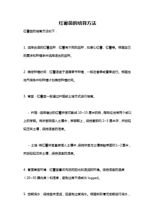红薯苗的培育方法