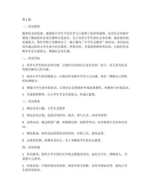 小学生支援者活动总结(3篇)
