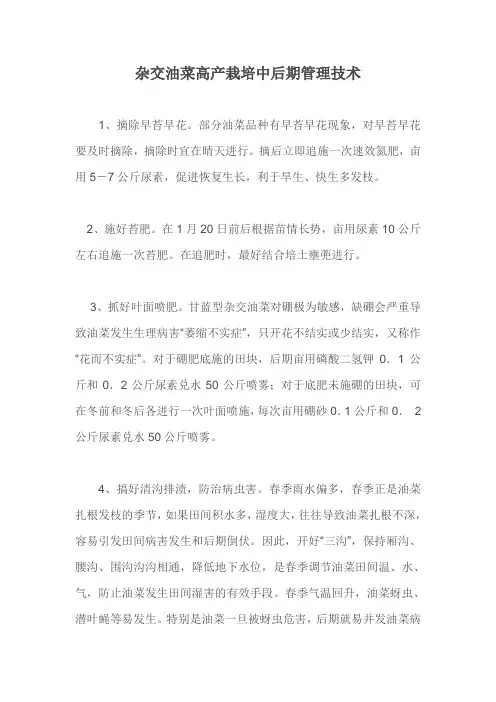 杂交油菜高产栽培中后期管理技术