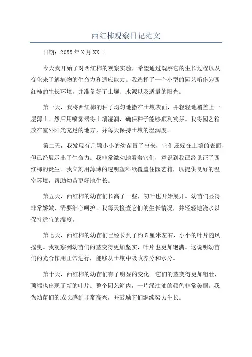 西红柿观察日记范文