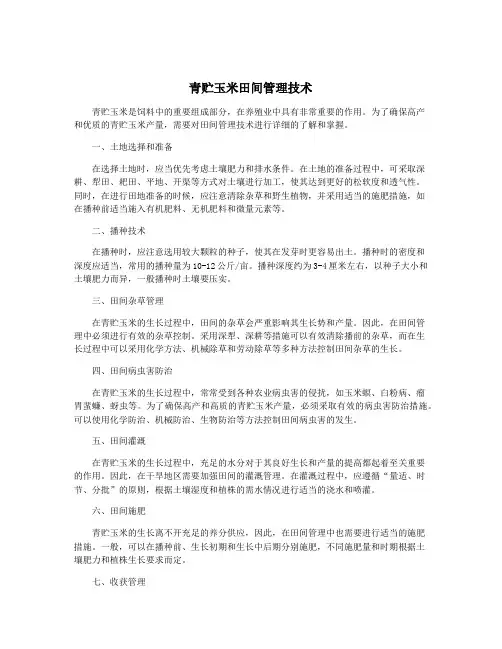 青贮玉米田间管理技术