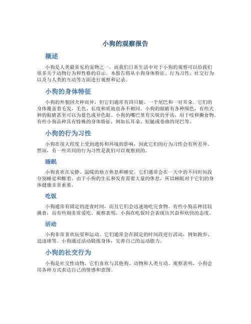 小狗的观察报告