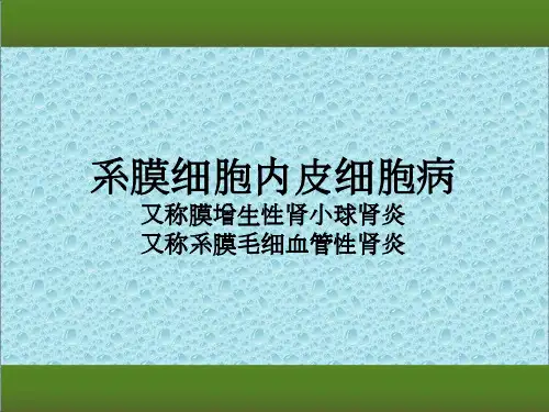 系膜细胞内皮细胞病