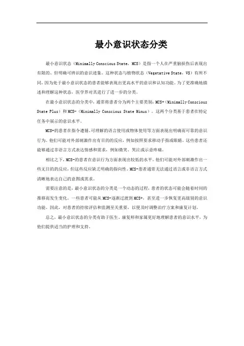 最小意识状态分类