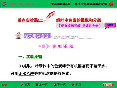 重点实验课(二)  绿叶中色素的提取和分离