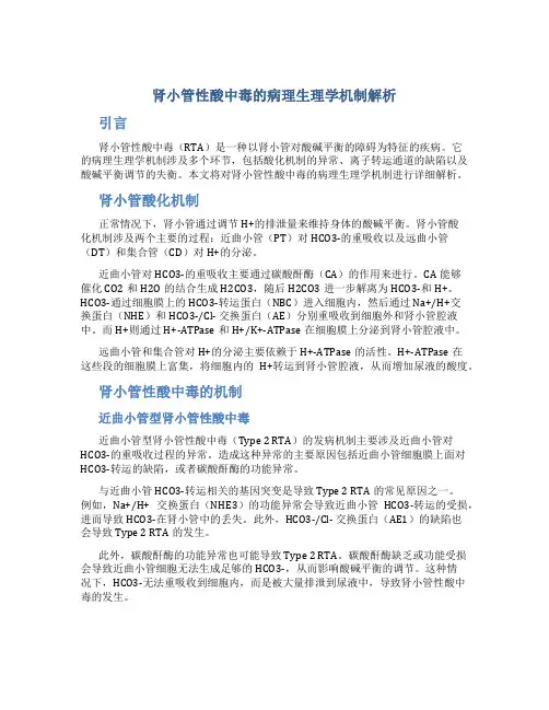 肾小管性酸中毒的病理生理学机制解析