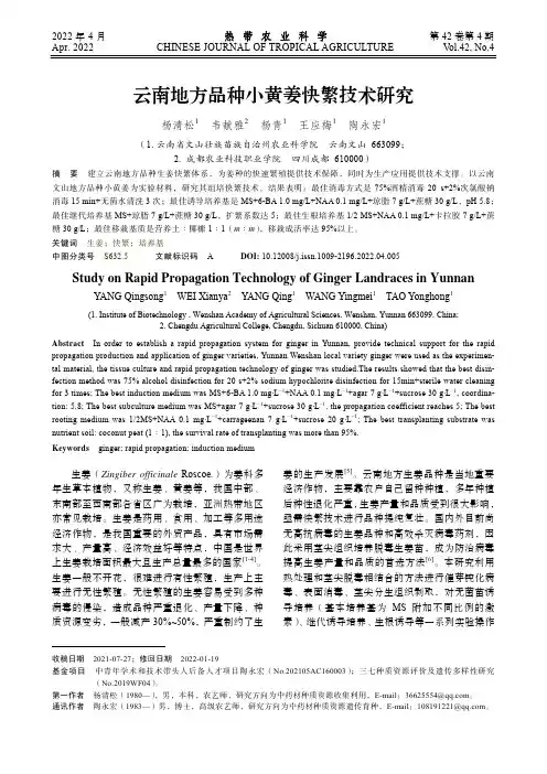 云南地方品种小黄姜快繁技术研究