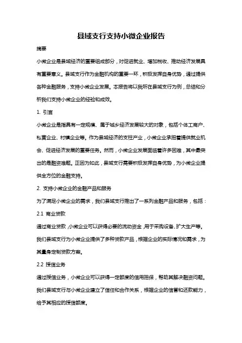 县域支行支持小微企业报告