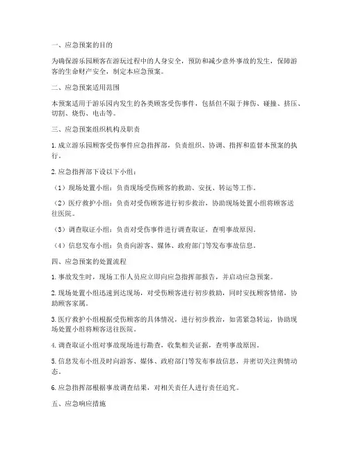 游乐园顾客受伤应急预案