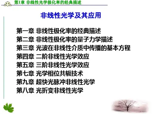 第1章 非线性光学极化率的经典描述n